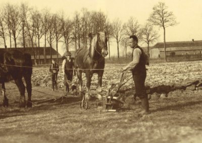 1950 Wederopbouw: van agrarisch dorp naar stedelijk woongebied