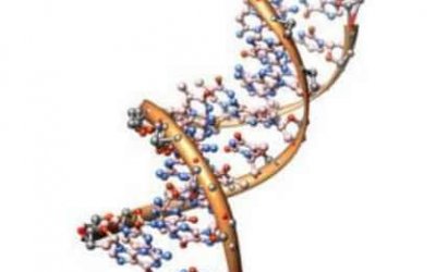 Lezing 27-02-2020 Genetische genealogie