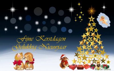 Kerst- en Nieuwjaarswens