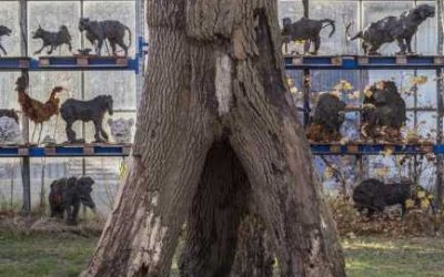 Driejvuldighèijdsbóm