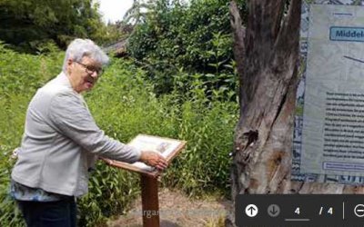 Archeologie Luistruiken