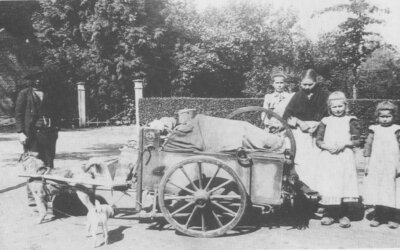 Dwèrs door Nuenens verleden: Nuenen rond de eeuwwisseling 1900